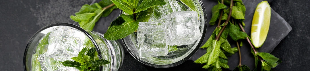 Virgin Mojito sur une assiette en ardoise