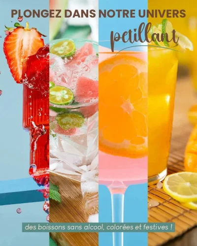 affiche_frognsip_rognee