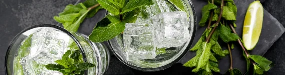 Virgin Mojito sur une assiette en ardoise